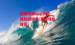 虎啸棋牌app下载-英超因球员(英超球队球员)