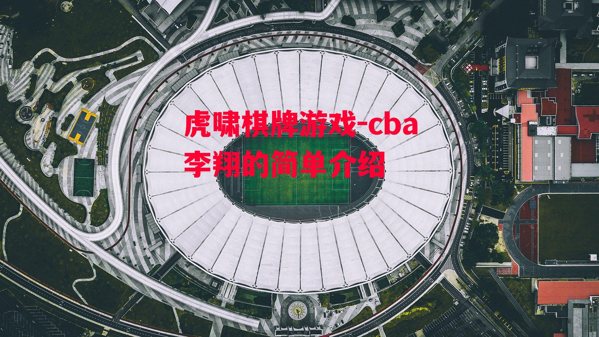 cba李翔的简单介绍