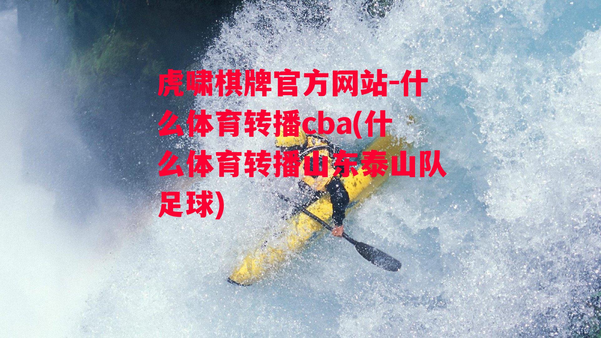 什么体育转播cba(什么体育转播山东泰山队足球)